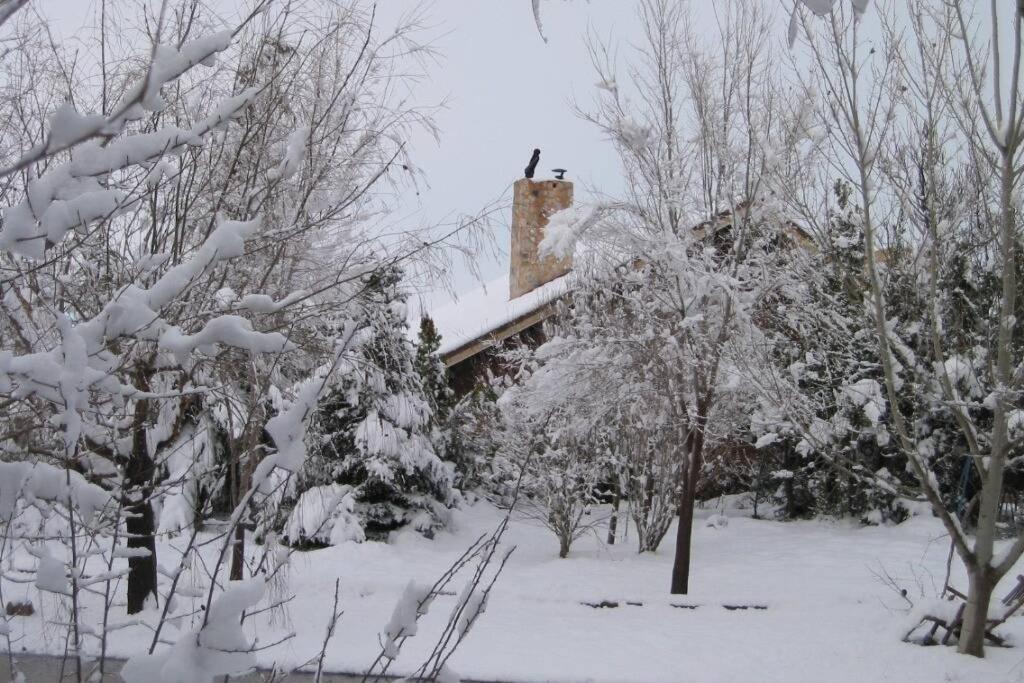 Casa En El Campo Con Encanto Almansa Eksteriør billede