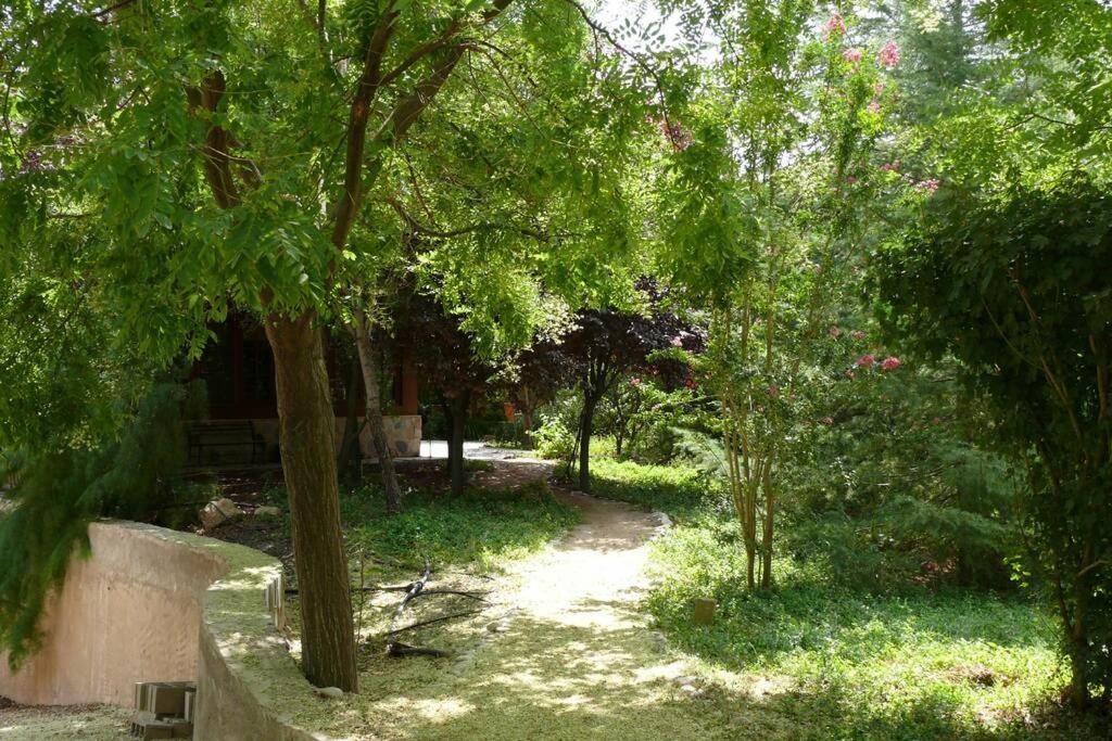 Casa En El Campo Con Encanto Almansa Eksteriør billede