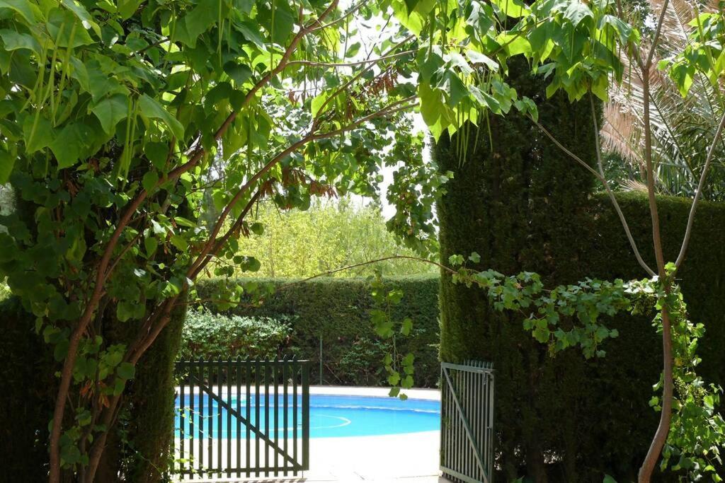Casa En El Campo Con Encanto Almansa Eksteriør billede